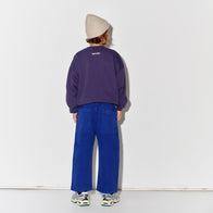 Child wearing a purple sweater with a graphic design and Main Story blue painter cargo pants
