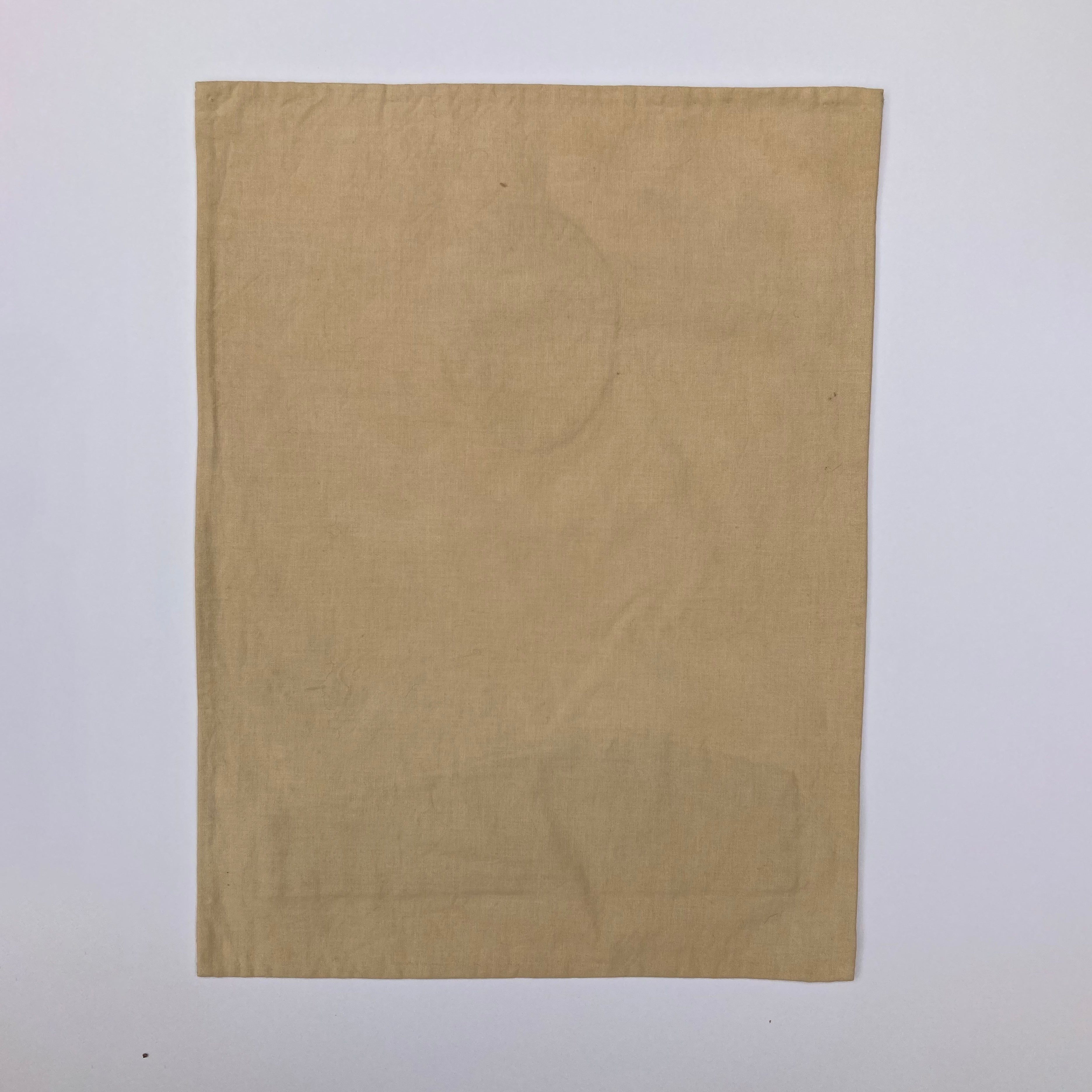 Vanessa Chow Ocean Pacific West Quilt Study Rust Sun Sand | BIEN BIEN