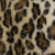 AnimalPrint AnimalPrint