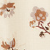 BrownDitsyFloral BrownDitsyFloral