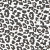 Leopard Leopard